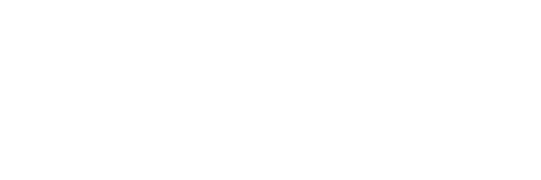 icevisit